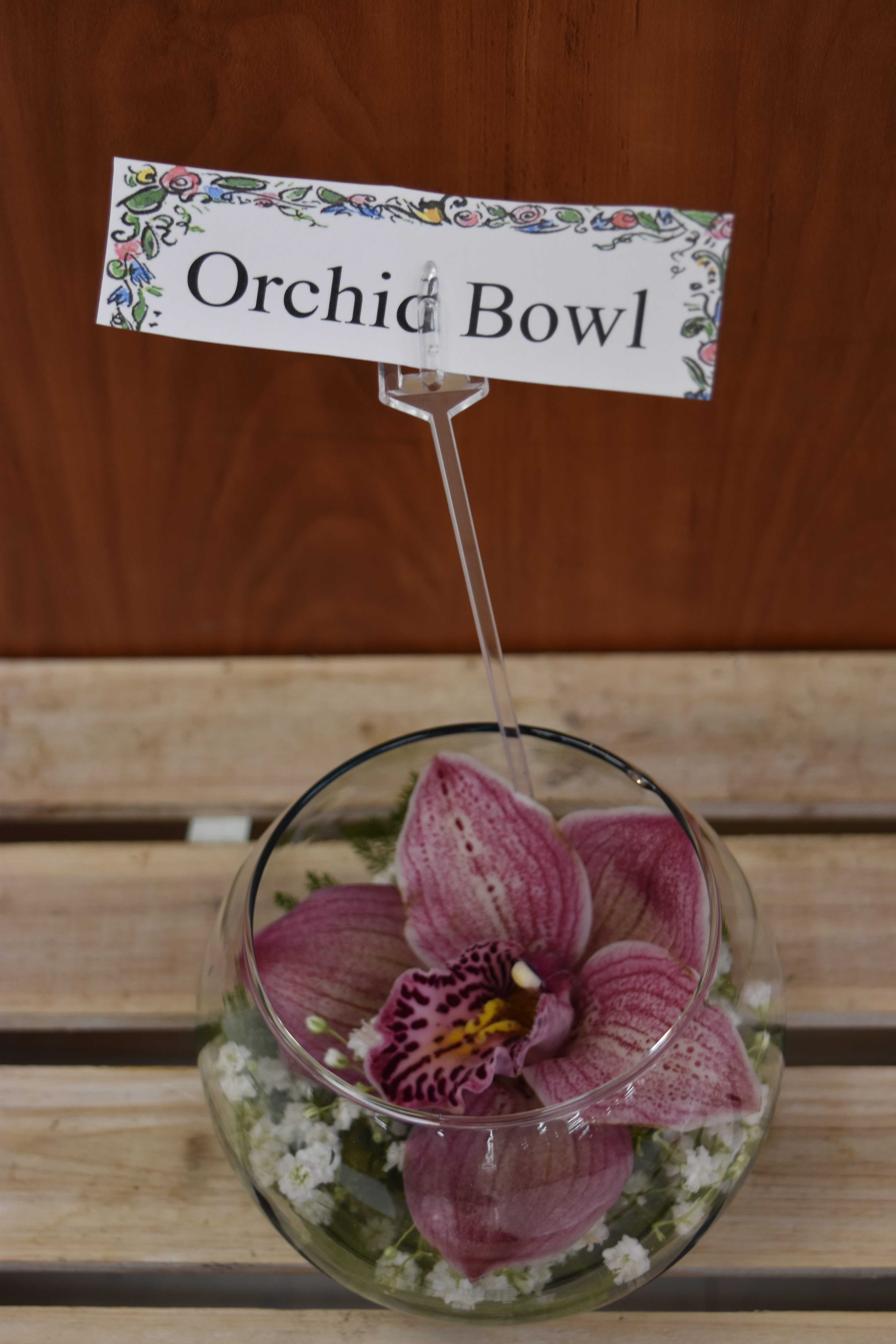 Orchid Bowl Fredericton Coop