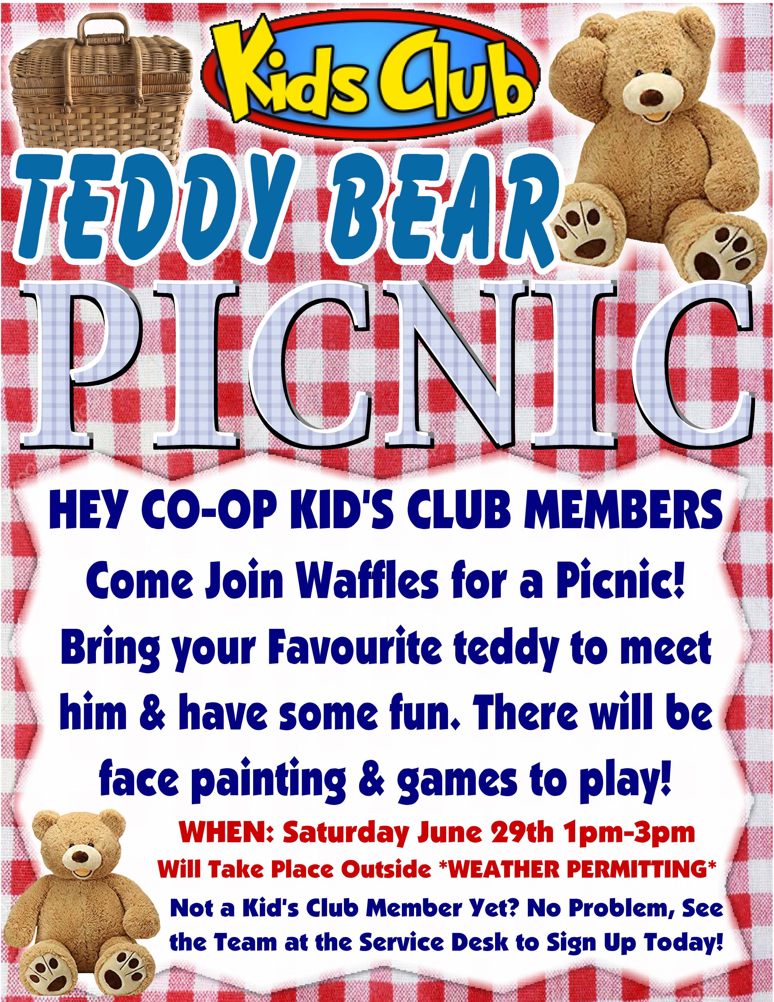 teddy bear picnic boxes